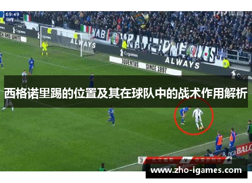 西格诺里踢的位置及其在球队中的战术作用解析 西格诺里踢的位置及其在球队中的战术作用解析