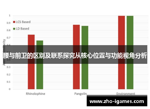 腰与前卫的区别及联系探究从核心位置与功能视角分析